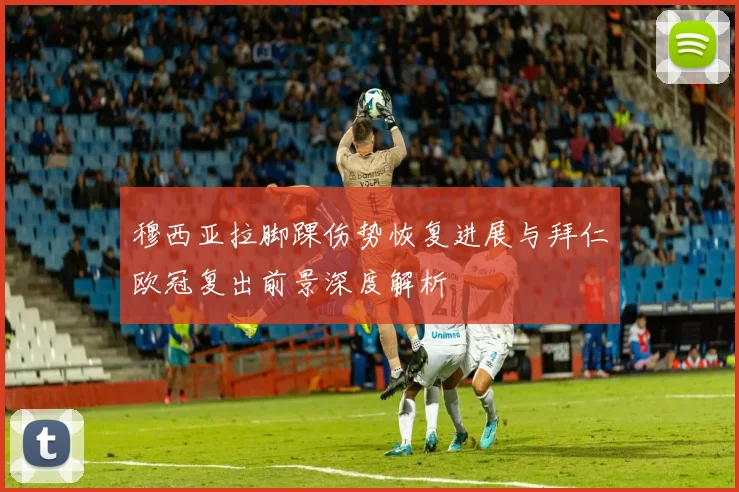 穆西亚拉脚踝伤势恢复进展与拜仁欧冠复出前景深度解析