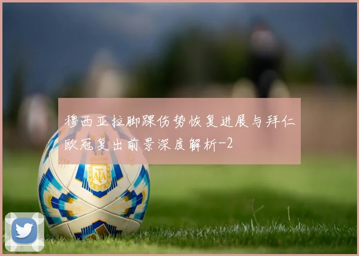 穆西亚拉脚踝伤势恢复进展与拜仁欧冠复出前景深度解析