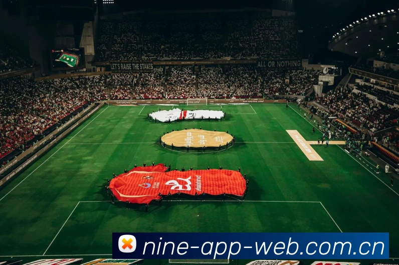 九游下载官方入口APP 封面图